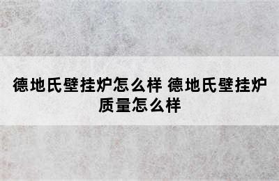 德地氏壁挂炉怎么样 德地氏壁挂炉质量怎么样